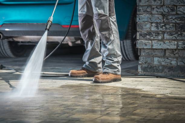 Best Winterizing Services  in St Clair Shores, MI