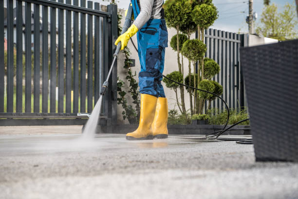 Best Driveway Pressure Washing  in St Clair Shores, MI