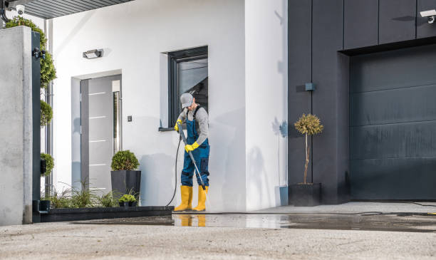 Best Graffiti Removal  in St Clair Shores, MI